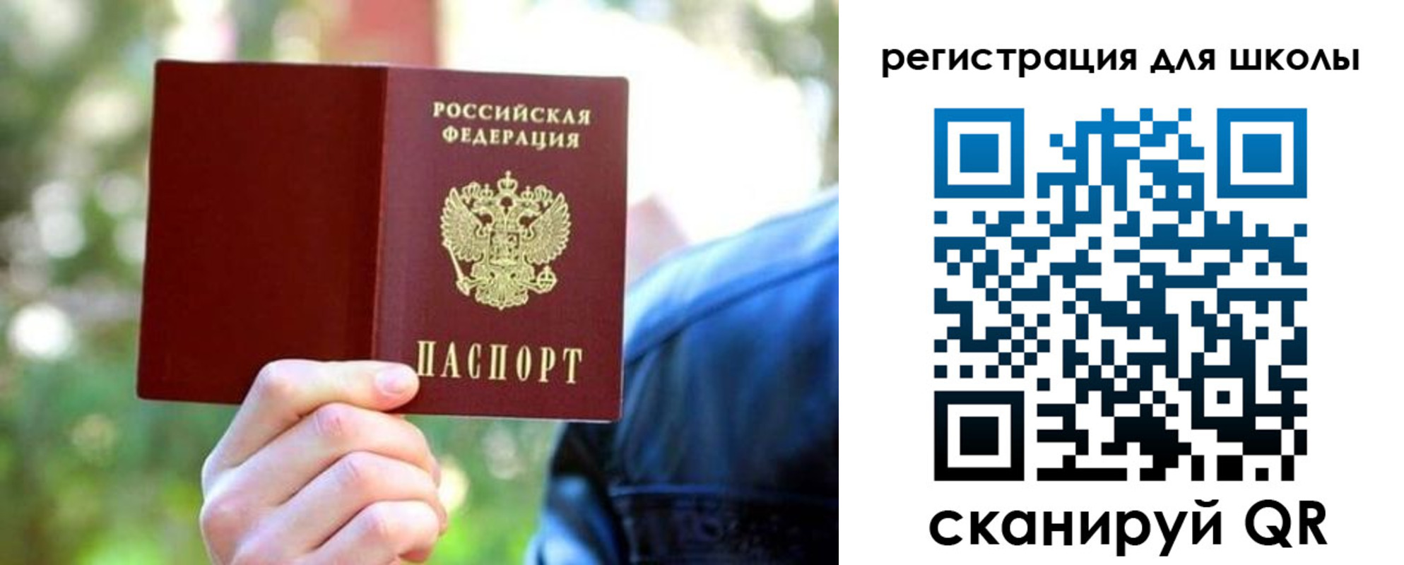 прописка законно в Палласовке